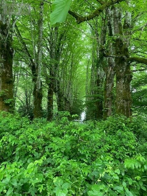 propriete a vendre Liffré 35340 Ille-et-Vilaine 342 m2 8 pièces 880320 euros