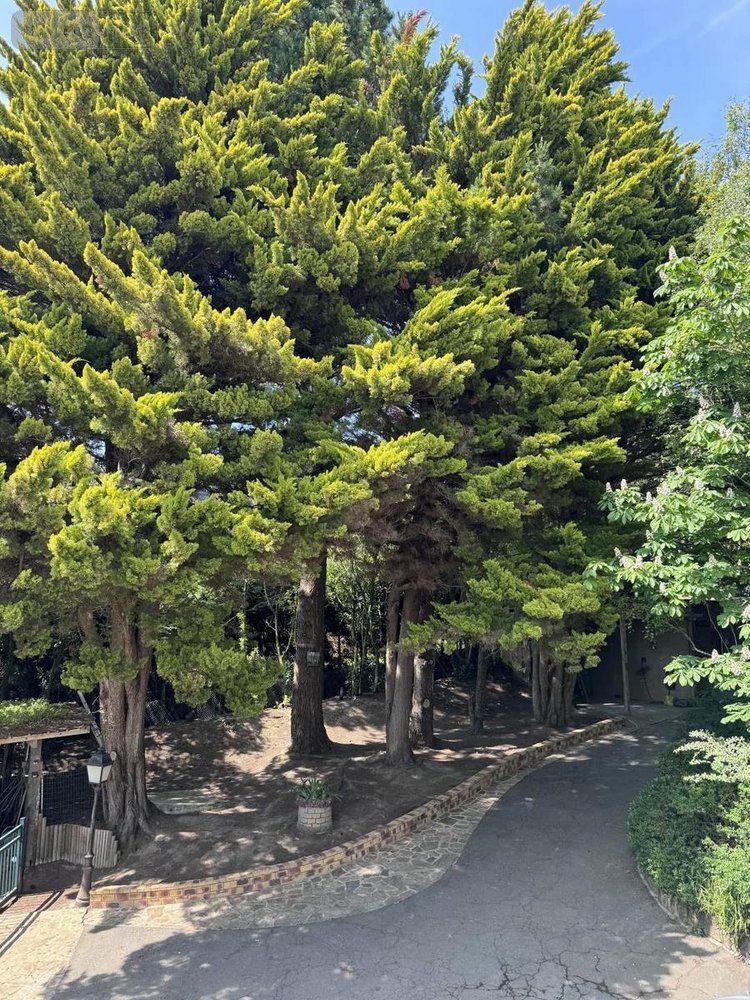 Maison a vendre Saint-Malo 35400 Ille-et-Vilaine 307 m2 15 pièces 1612000 euros