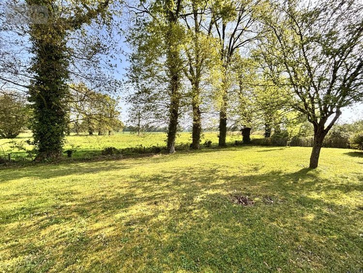 Terrains de loisirs bois etangs a vendre Mordelles 35310 Ille-et-Vilaine 4320 m2  49500 euros