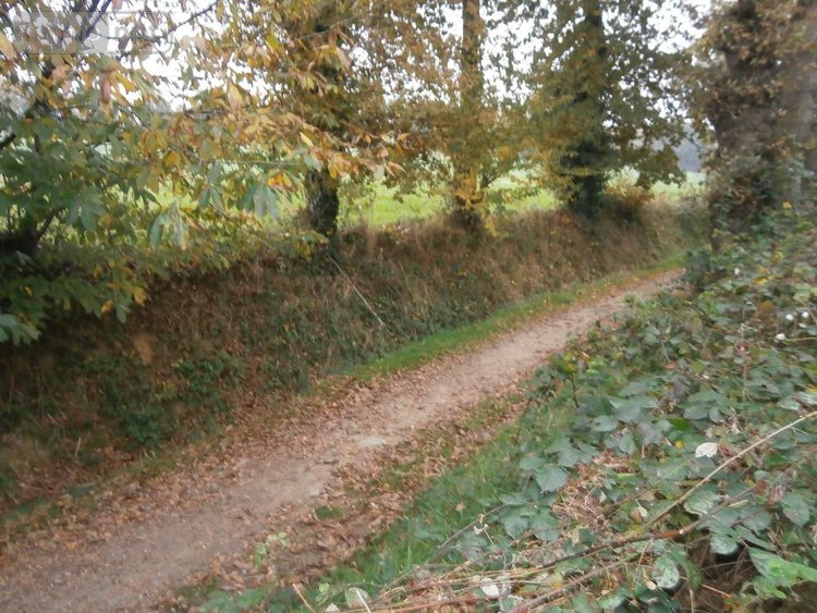 Location maison 35 Ille-et-Vilaine 117 m2 6 pièces 1200 euros