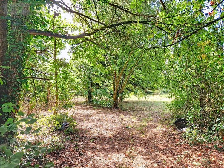 Maison a vendre Lanvallay 22100 Côtes-d'Armor 146 m2 7 pièces 270500 euros