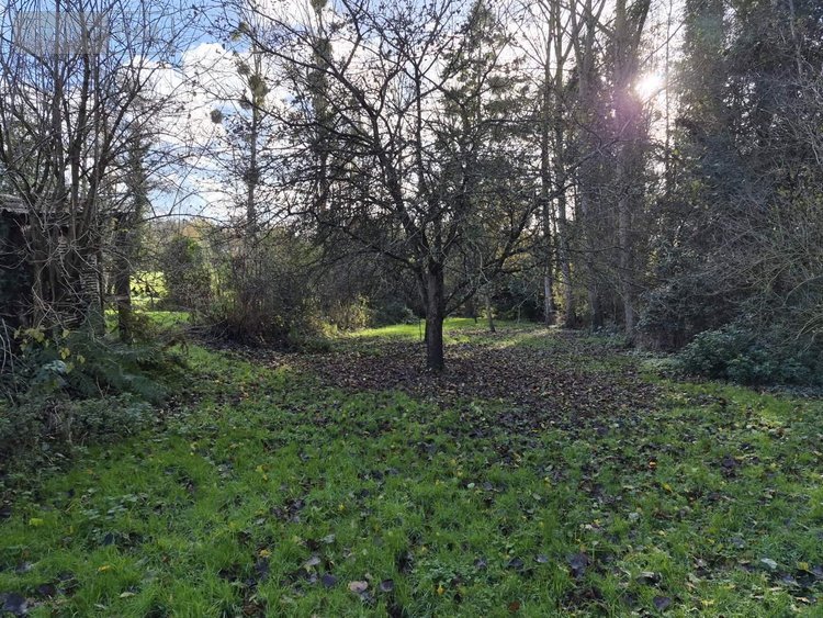 Maison a vendre Plerguer 35540 Ille-et-Vilaine 74 m2 4 pièces 188100 euros