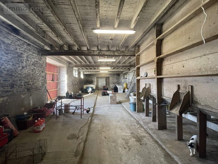 Maison a vendre Balazé 35500 Ille-et-Vilaine 100 m2 5 pièces 286000 euros