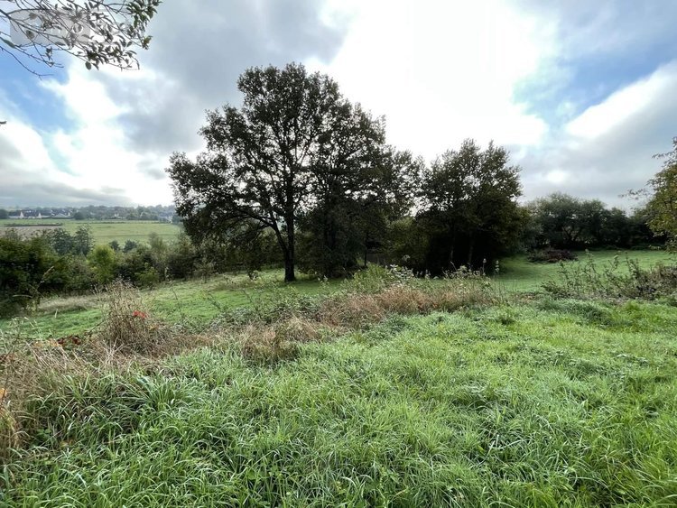 Maison a vendre Balazé 35500 Ille-et-Vilaine 190 m2 4 pièces 84980 euros