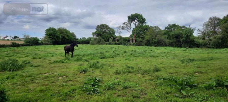 Maison a vendre Martigné-Ferchaud 35640 Ille-et-Vilaine 225 m2 9 pièces 290320 euros