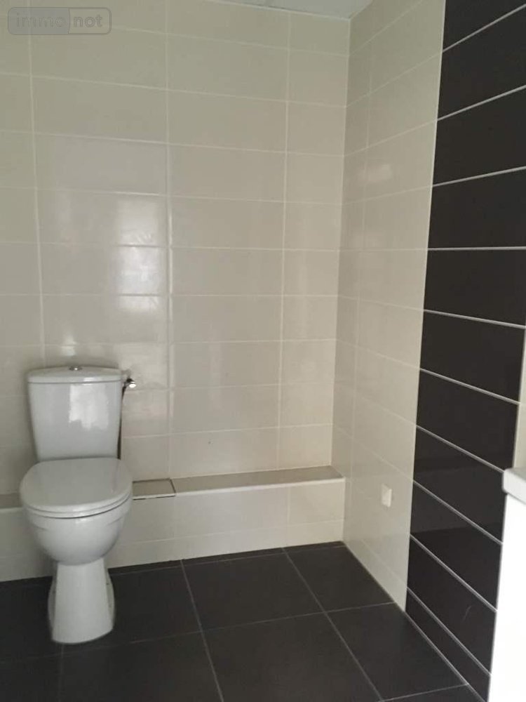 Location fonds et murs commerciaux Janzé 35150 Ille-et-Vilaine 53 m2  650 euros