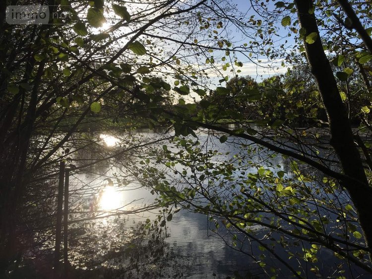 Terrains de loisirs bois etangs a vendre Le Theil-de-Bretagne 35240 Ille-et-Vilaine 19100 m2  37580 euros