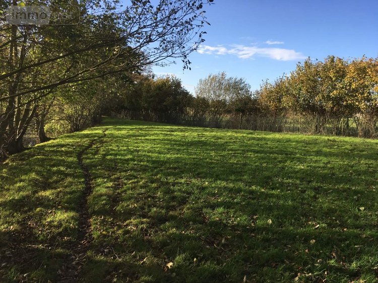 Terrains de loisirs bois etangs a vendre Le Theil-de-Bretagne 35240 Ille-et-Vilaine 19100 m2  37580 euros