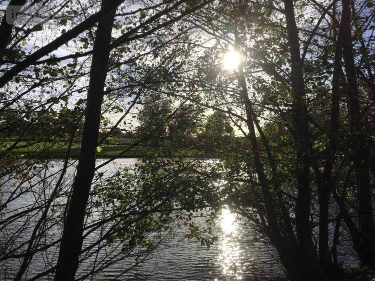 Terrains de loisirs bois etangs a vendre Le Theil-de-Bretagne 35240 Ille-et-Vilaine 19100 m2  37580 euros