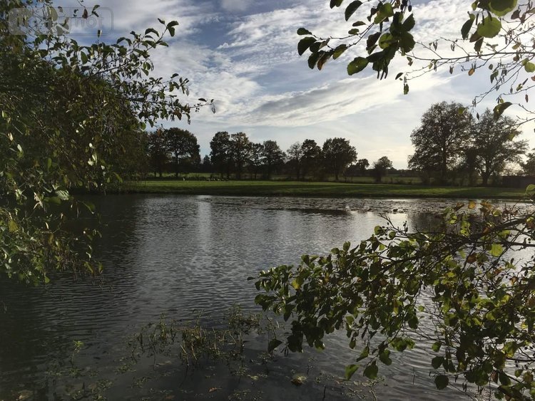 Terrains de loisirs bois etangs a vendre Le Theil-de-Bretagne 35240 Ille-et-Vilaine 19100 m2  37580 euros