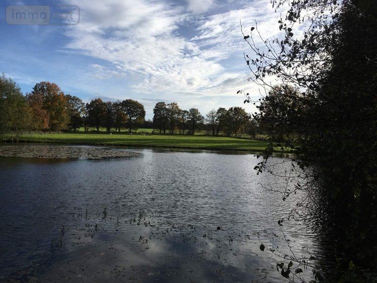 Terrains de loisirs bois etangs a vendre Le Theil-de-Bretagne 35240 Ille-et-Vilaine 19100 m2  37580 euros