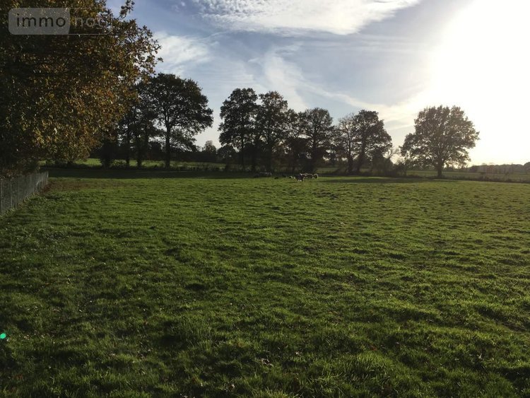 Terrains de loisirs bois etangs a vendre Le Theil-de-Bretagne 35240 Ille-et-Vilaine 19100 m2  37580 euros