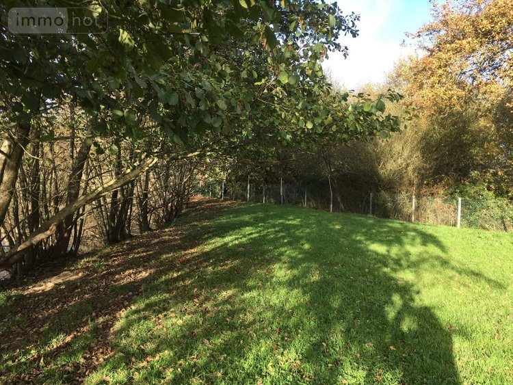 Terrains de loisirs bois etangs a vendre Le Theil-de-Bretagne 35240 Ille-et-Vilaine 19100 m2  37580 euros