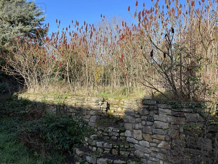 Maison a vendre Lalleu 35320 Ille-et-Vilaine 276 m2 10 pièces 183700 euros