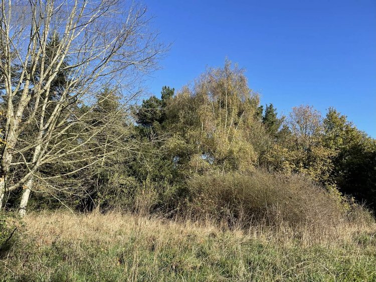 Maison a vendre Lalleu 35320 Ille-et-Vilaine 276 m2 10 pièces 183700 euros