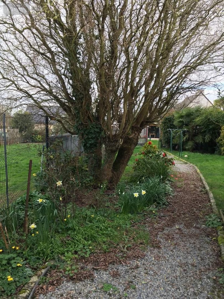 Location maison Janzé 35150 Ille-et-Vilaine 71 m2 4 pièces 720 euros