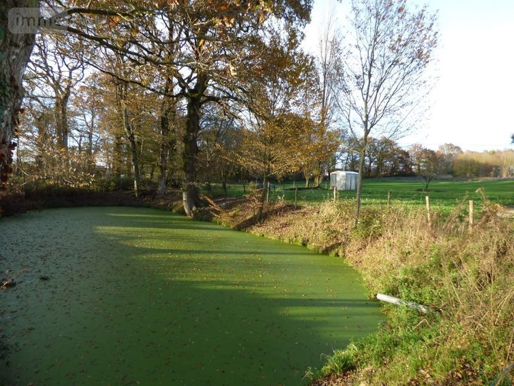 Maison a vendre Crevin 35320 Ille-et-Vilaine 126 m2 6 pièces 414000 euros