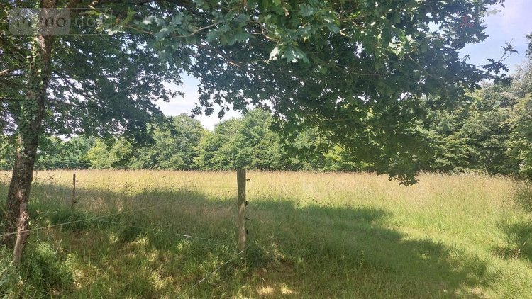 Maison a vendre Ercé-en-Lamée 35620 Ille-et-Vilaine 50 m2 3 pièces 45000 euros