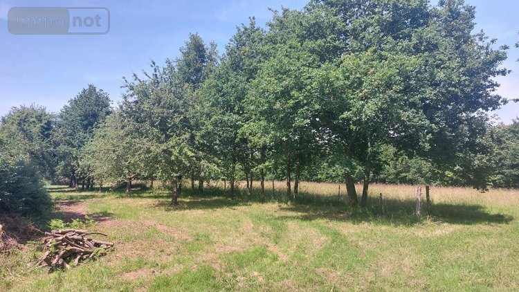 Maison a vendre Ercé-en-Lamée 35620 Ille-et-Vilaine 50 m2 3 pièces 45000 euros