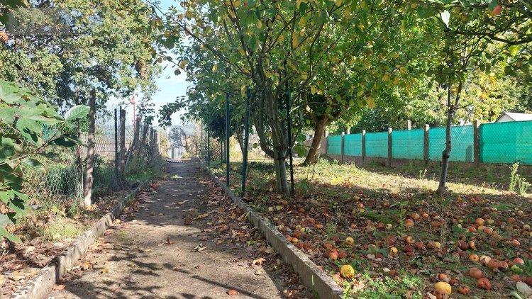 Maison a vendre Ercé-en-Lamée 35620 Ille-et-Vilaine 129 m2 6 pièces 136000 euros