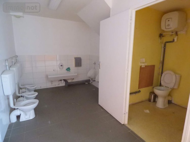 Maison a vendre Le Sel-de-Bretagne 35320 Ille-et-Vilaine 440 m2 12 pièces 351900 euros