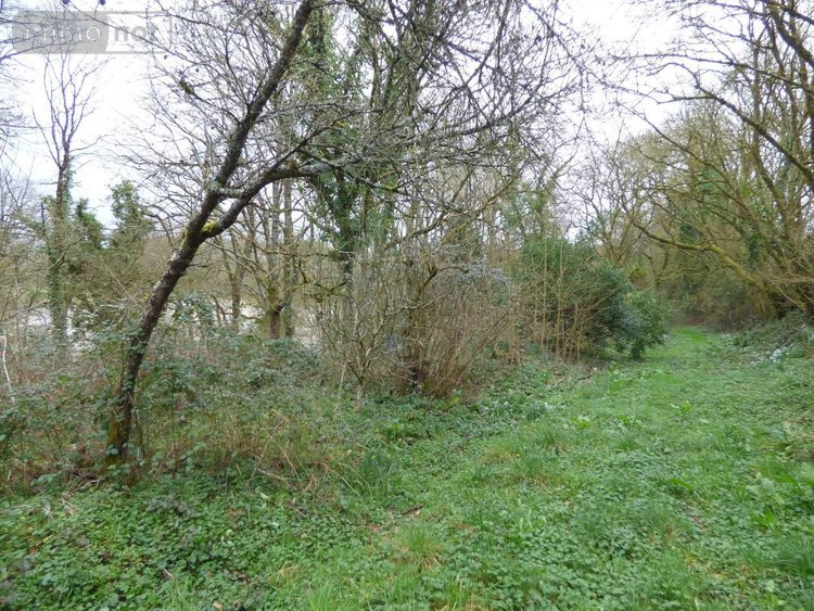 Maison a vendre Ercé-en-Lamée 35620 Ille-et-Vilaine 75 m2 3 pièces 146000 euros