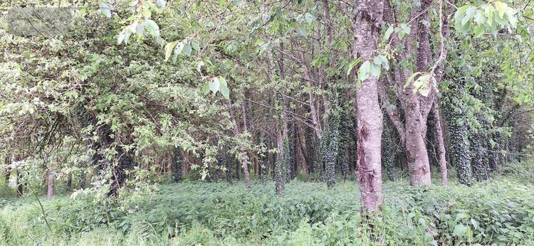 Maison a vendre Mézières-sur-Couesnon 35140 Ille-et-Vilaine 132 m2 5 pièces 266475 euros