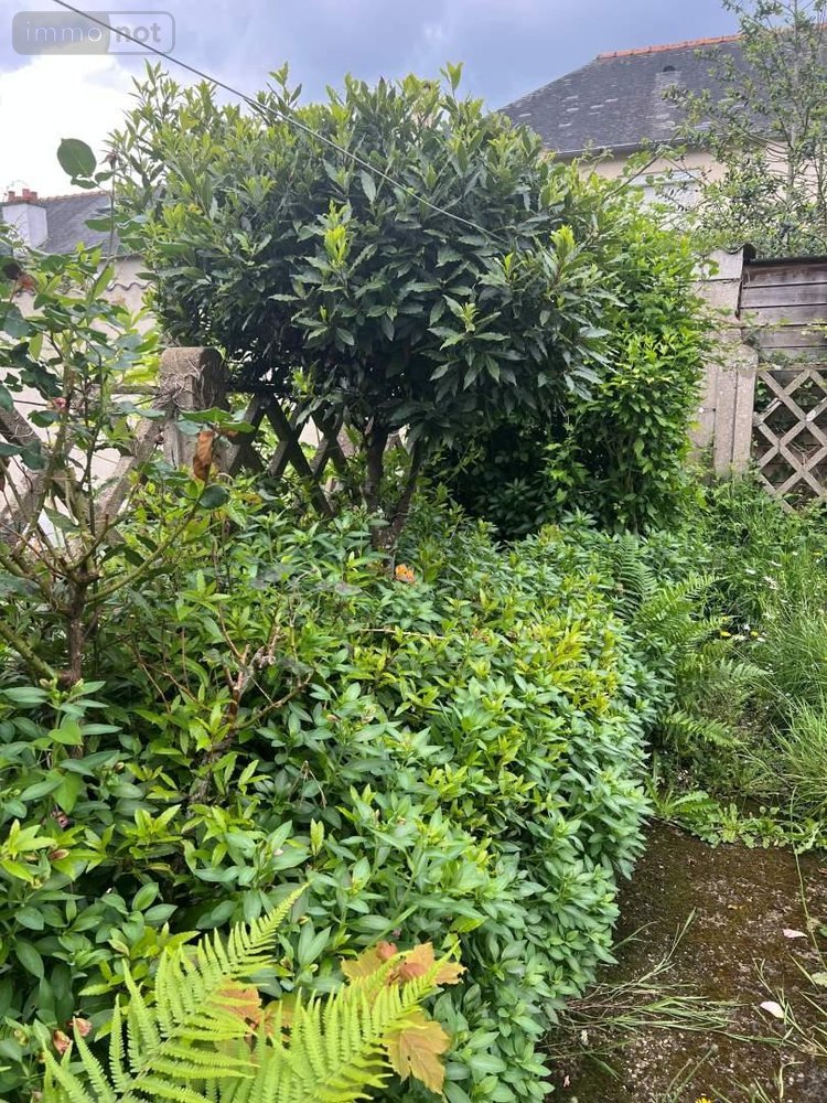 Maison a vendre Rennes 35000 Ille-et-Vilaine 94 m2 5 pièces 411787 euros