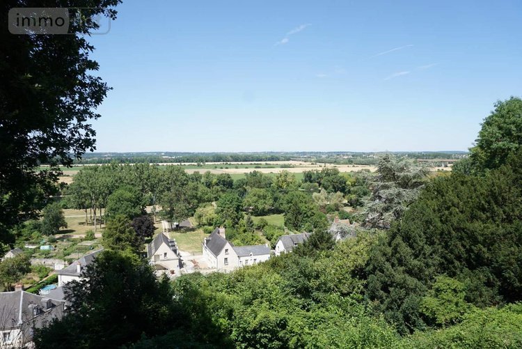 propriete a vendre Larçay 37270 Indre-et-Loire 465 m2 12 pièces 934200 euros