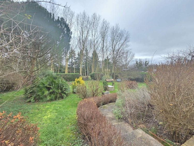 Maison a vendre Neuillé-le-Lierre 37380 Indre-et-Loire 137 m2 5 pièces 250000 euros