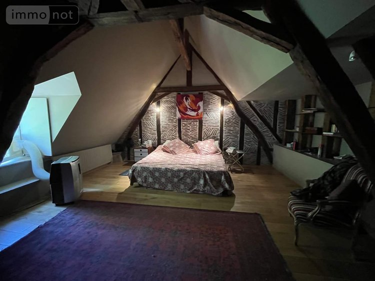 propriete a vendre Cheillé 37190 Indre-et-Loire 443 m2 18 pièces 795000 euros