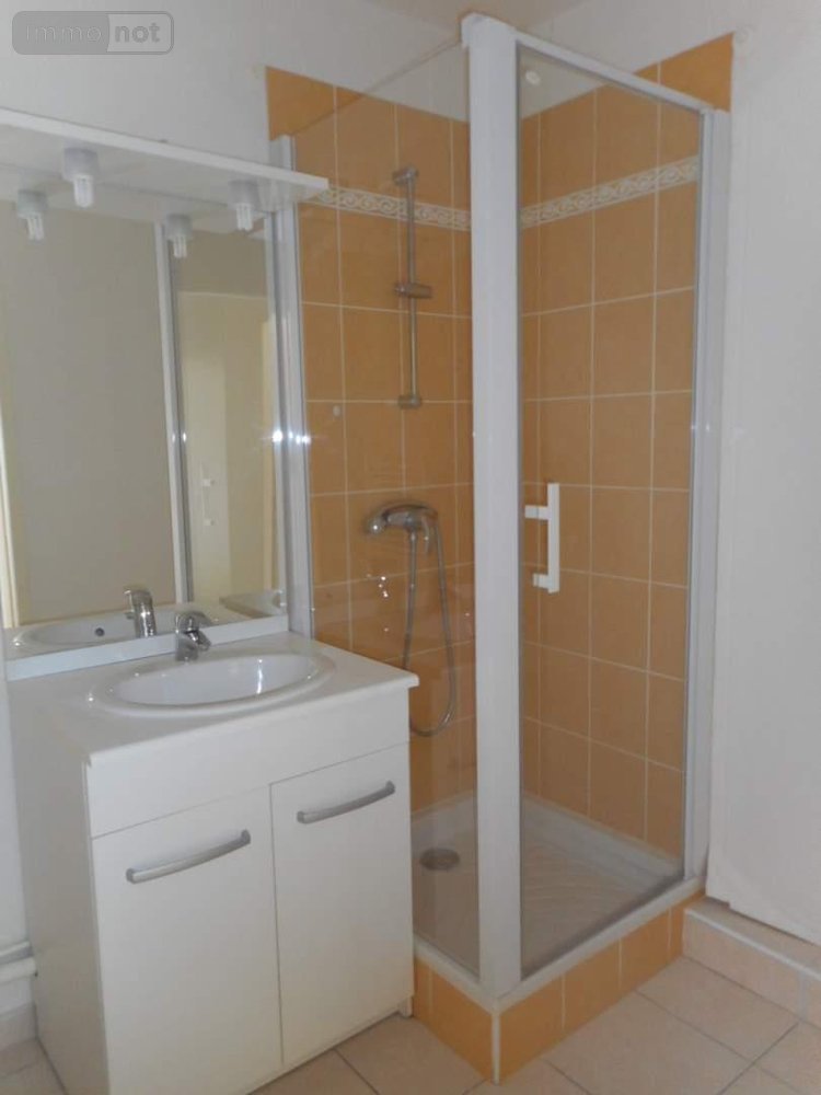 Location appartement Bléré 37150 Indre-et-Loire 50 m2 2 pièces 620 euros