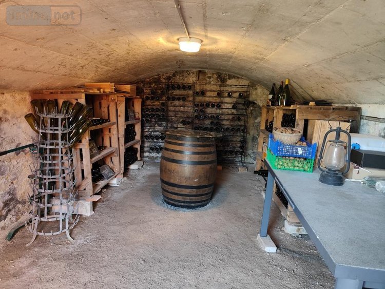 Maison a vendre Luzillé 37150 Indre-et-Loire 253 m2 7 pièces 520000 euros