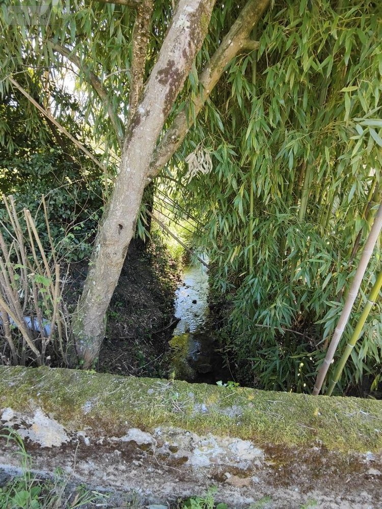 Maison a vendre La Croix-en-Touraine 37150 Indre-et-Loire 150 m2 7 pièces 286000 euros