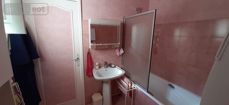 Viager maison Francueil 37150 Indre-et-Loire 79 m2 4 pièces 41800 euros