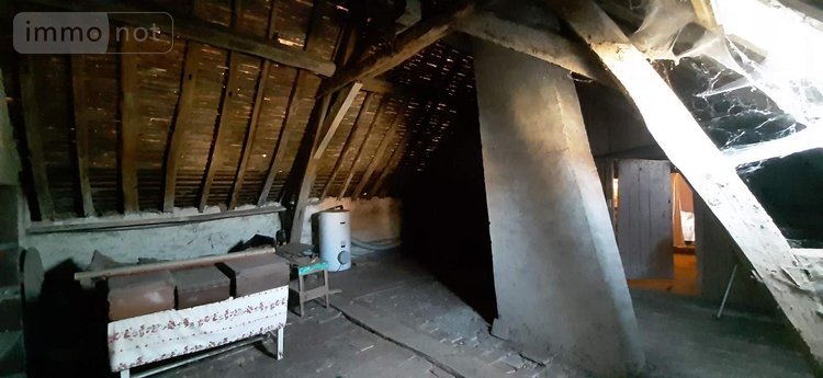 Viager maison Francueil 37150 Indre-et-Loire 79 m2 4 pièces 41800 euros