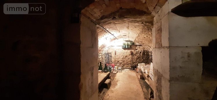 Viager maison Francueil 37150 Indre-et-Loire 79 m2 4 pièces 41800 euros