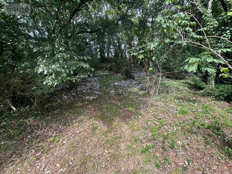 Maison a vendre Truyes 37320 Indre-et-Loire 196 m2 5 pièces 329224 euros