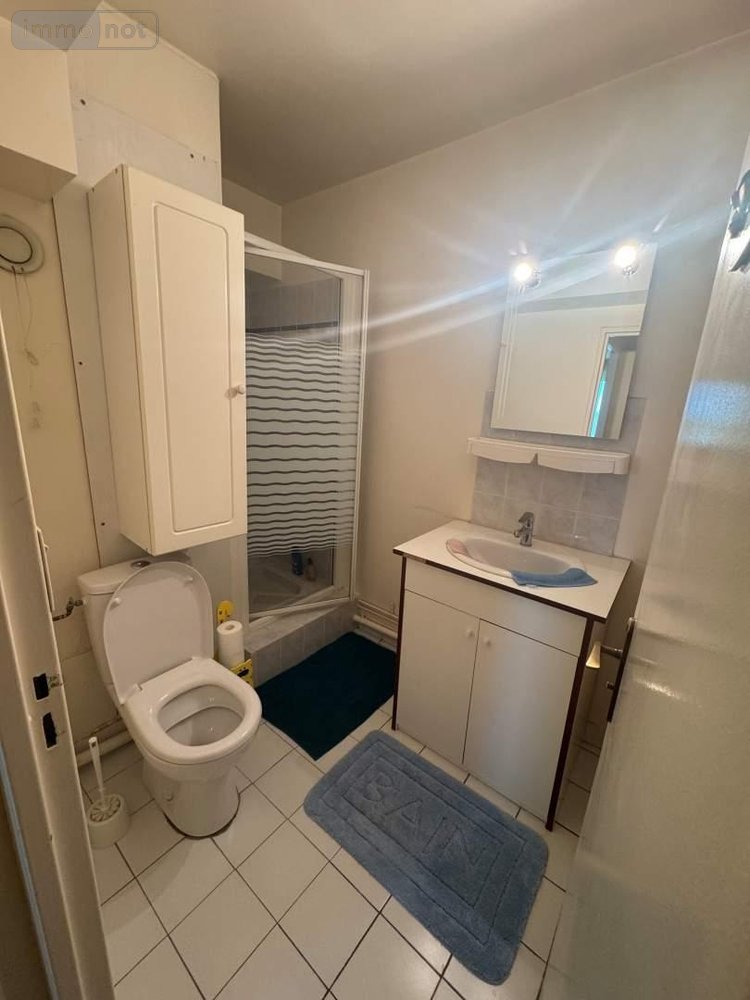 Appartement a vendre Tours 37000 Indre-et-Loire 46 m2 2 pièces 106000 euros