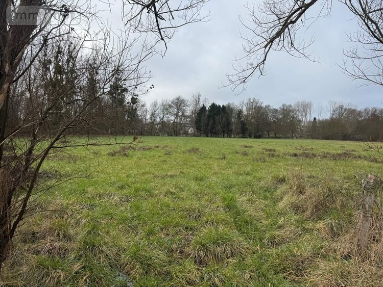 Terrains de loisirs bois etangs a vendre Reignac-sur-Indre 37310 Indre-et-Loire 9650 m2  12720 euros