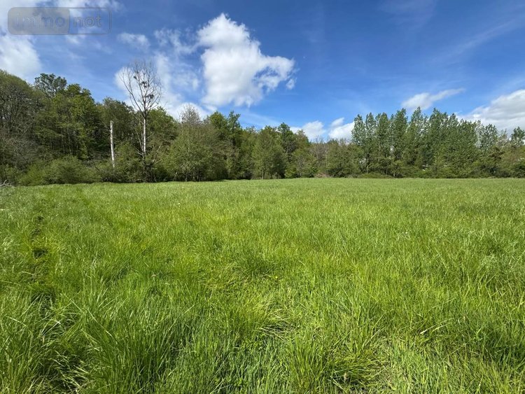 Terrains de loisirs bois etangs a vendre Tauxigny Saint Bauld 37310 Indre-et-Loire 14100 m2  8100 euros