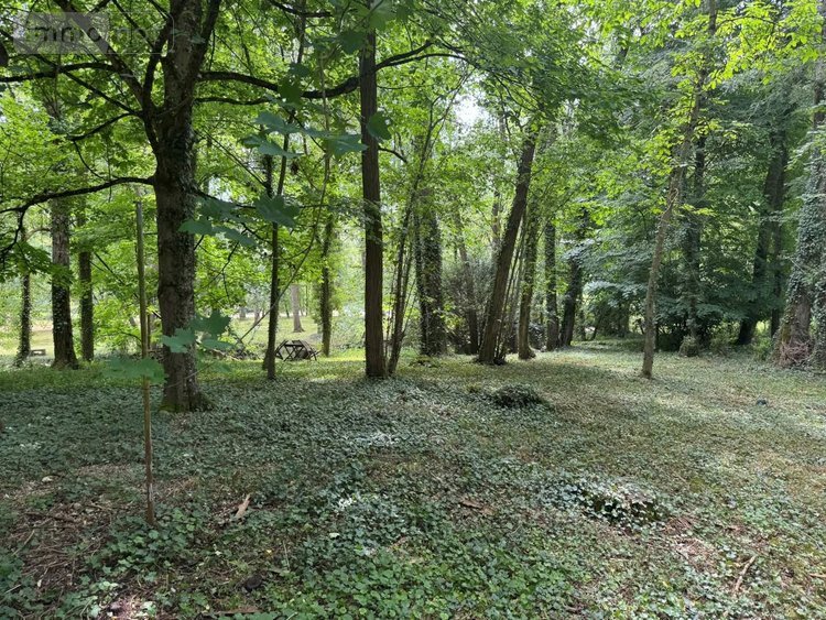 Terrains de loisirs bois etangs a vendre Truyes 37320 Indre-et-Loire 34820000 m2  24910 euros