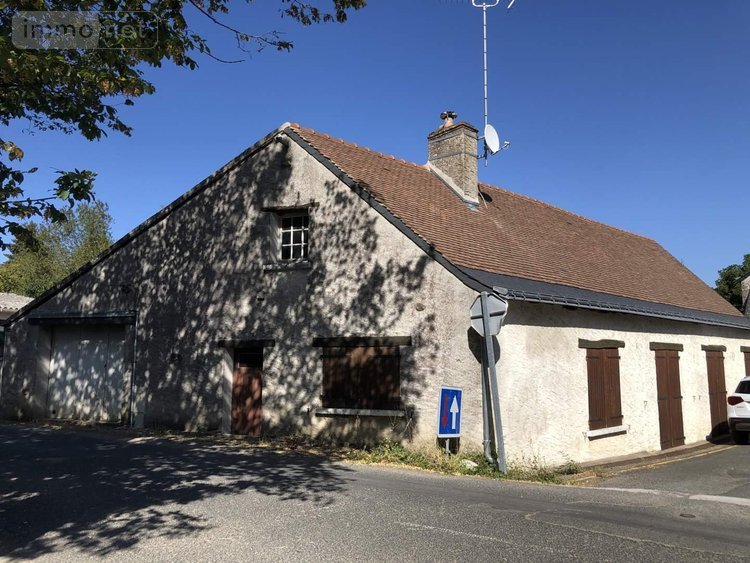 Immeuble a vendre Nouzilly 37380 Indre-et-Loire 254 m2  220000 euros