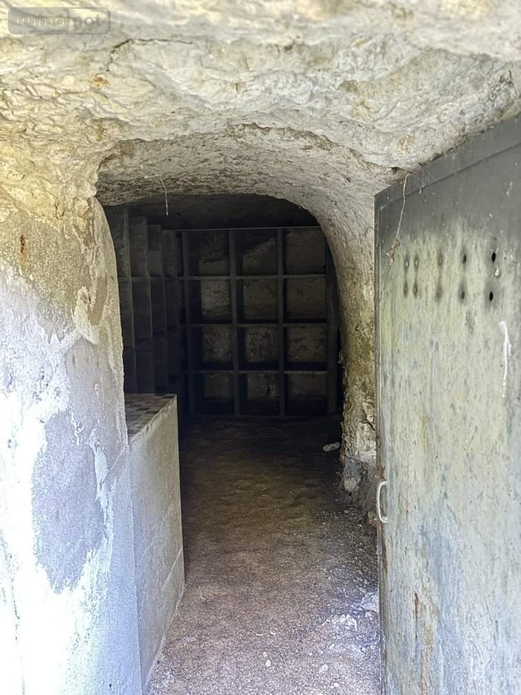 Terrains de loisirs bois etangs a vendre Cerelles 37390 Indre-et-Loire 4422 m2  32100 euros