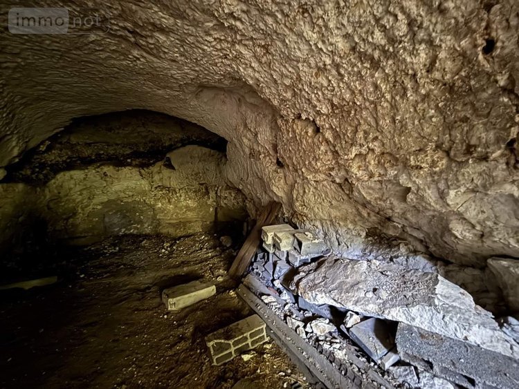 Terrains de loisirs bois etangs a vendre Cerelles 37390 Indre-et-Loire 4422 m2  32100 euros