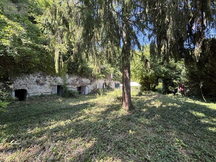 Terrains de loisirs bois etangs a vendre Cerelles 37390 Indre-et-Loire 4422 m2  32100 euros