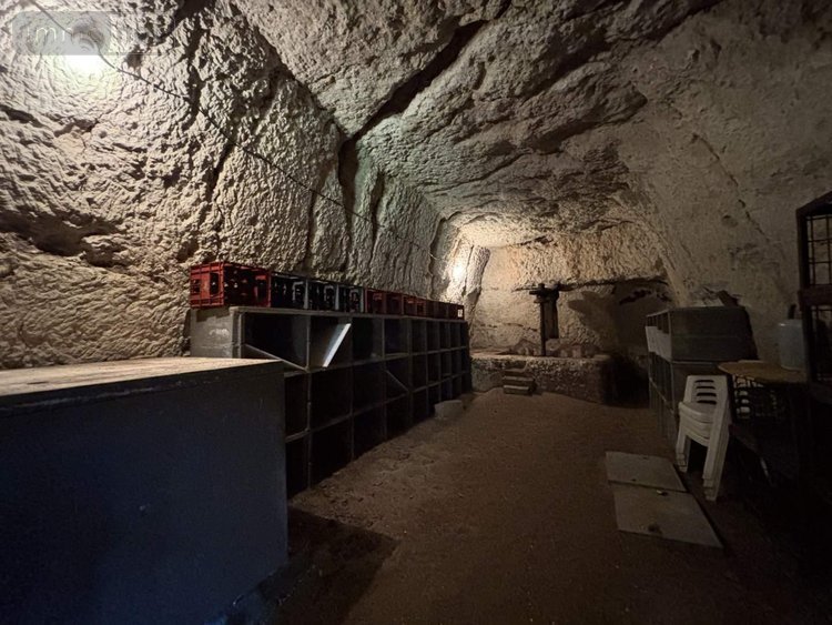 Terrains de loisirs bois etangs a vendre Cerelles 37390 Indre-et-Loire 4422 m2  32100 euros