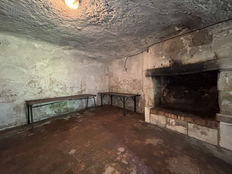 Terrains de loisirs bois etangs a vendre Cerelles 37390 Indre-et-Loire 4422 m2  32100 euros