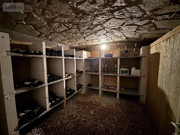 Maison a vendre Nouzilly 37380 Indre-et-Loire 151 m2 6 pièces 398860 euros