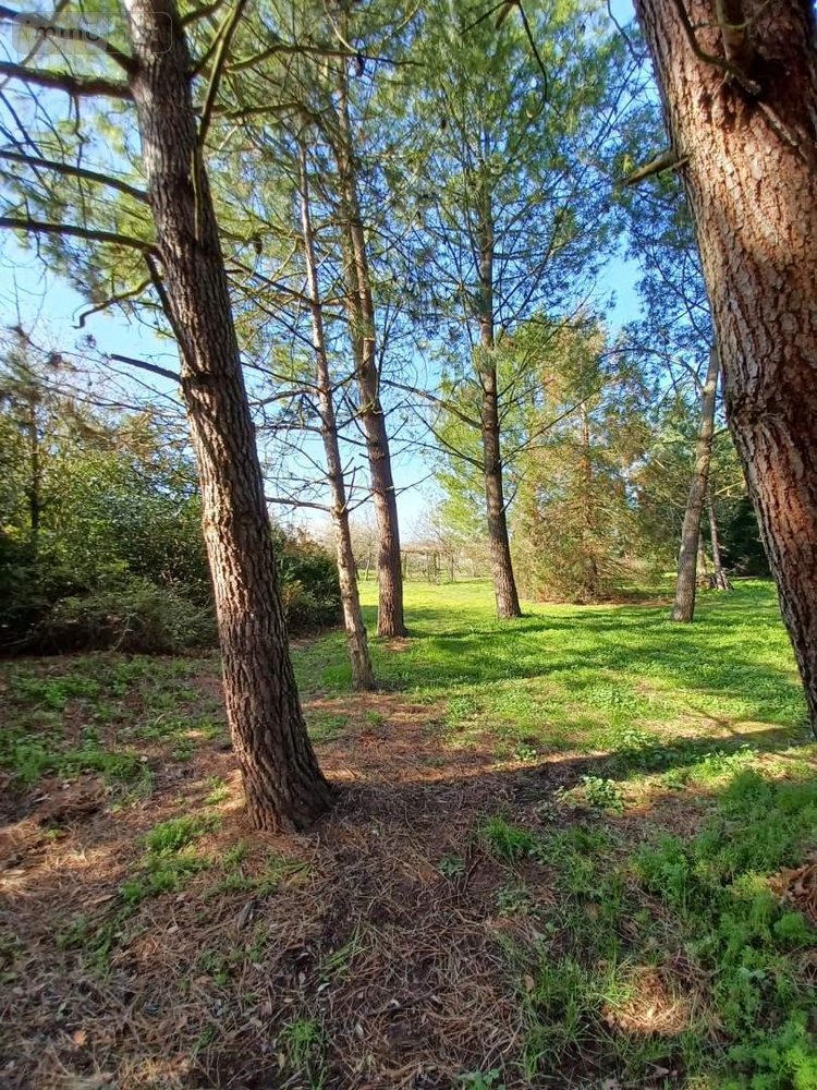 Maison a vendre Loudun 86200 Vienne 320 m2 8 pièces 333200 euros